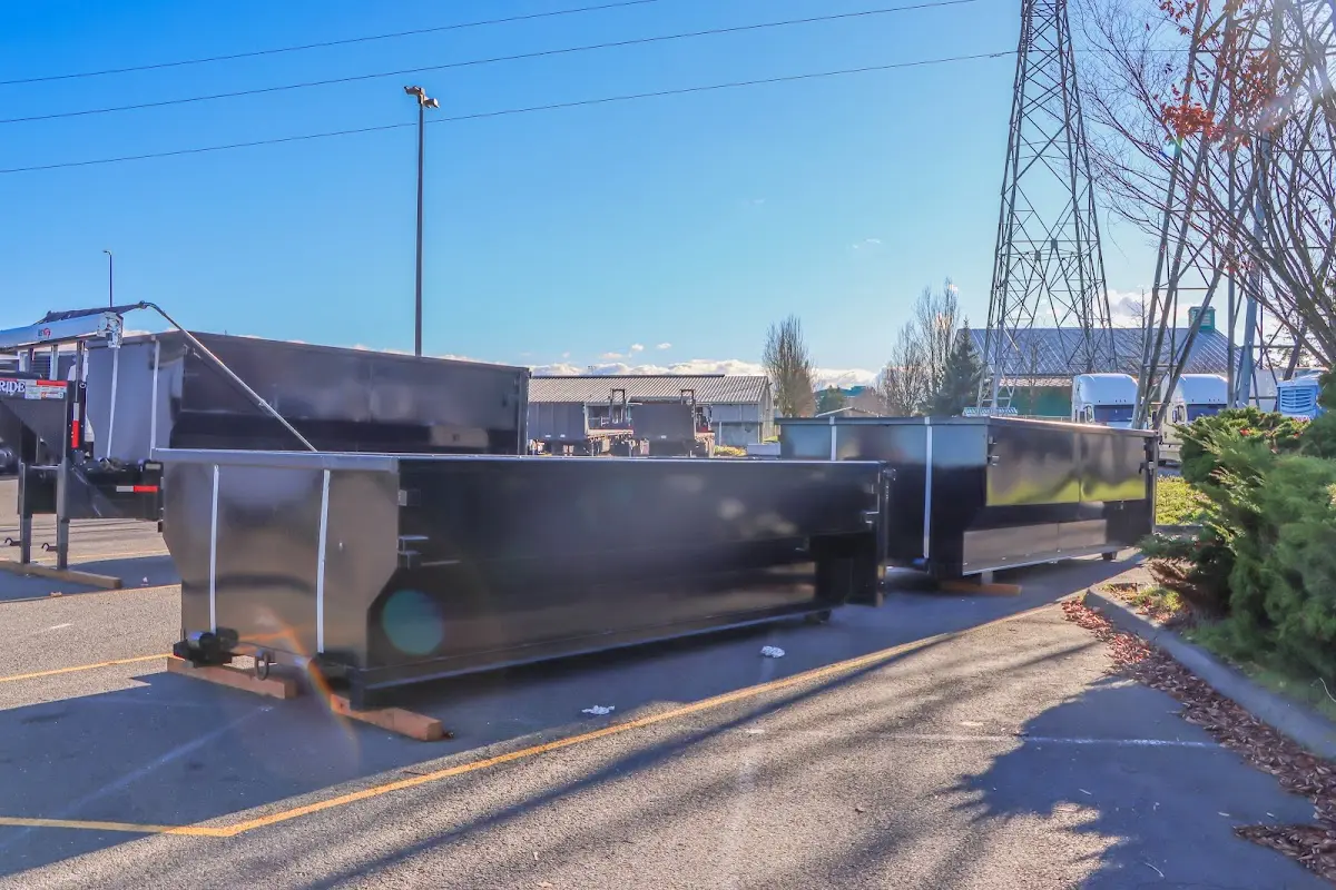 Professional dumpster rental and junk removal service in Ladysmith